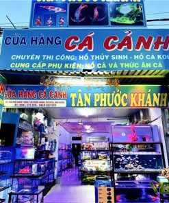 Bảng hiệu quảng cáo trung tâm con giống Pleiku Gia Lai